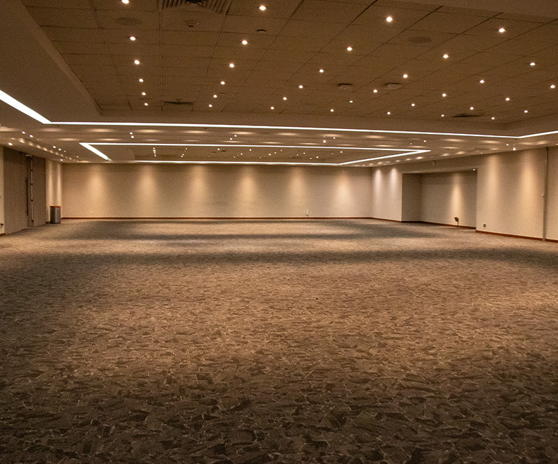 Palenque y Montealbán